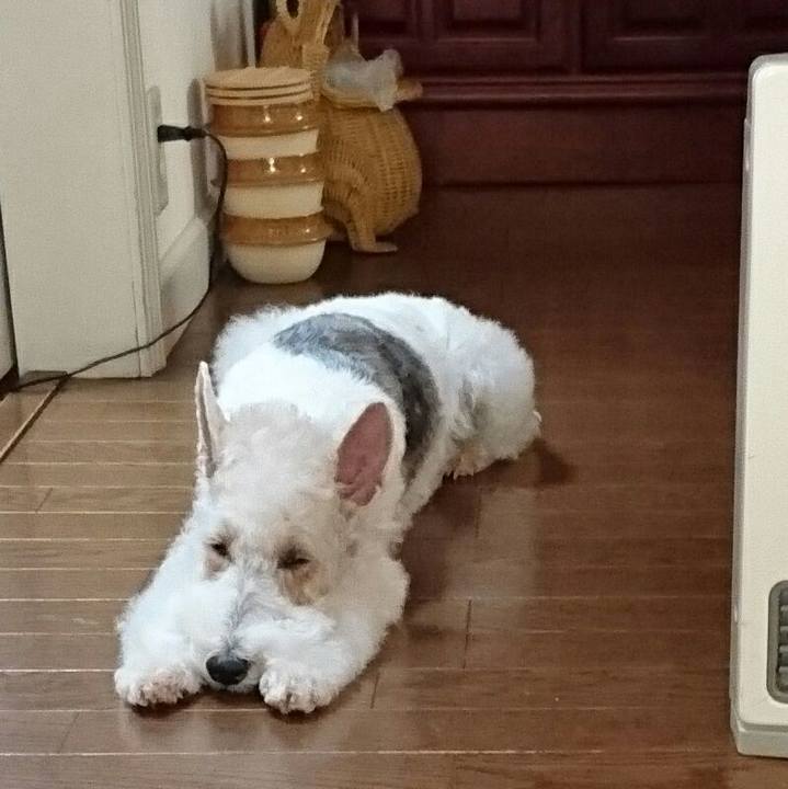 73383121 b206 467e 9d69 42638e001deb