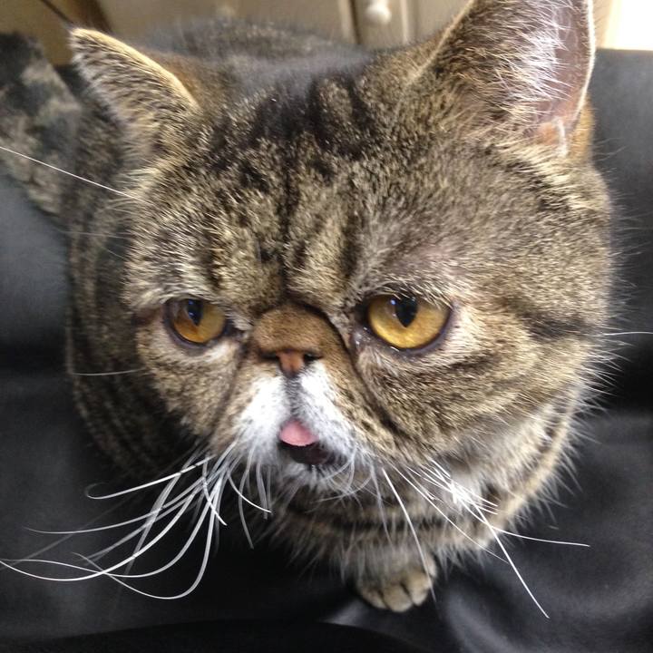 7338aaba 2804 4358 9643 6743d9739433