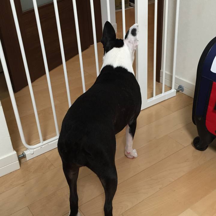 73391072 b950 4212 9367 8f0ace987509