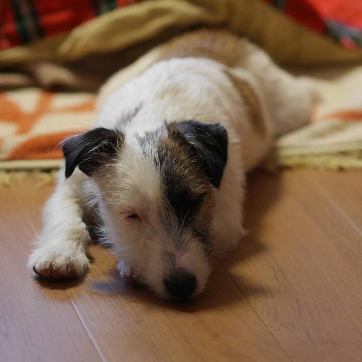 73396006 c6b7 4eae a38d 1dbfb004f890