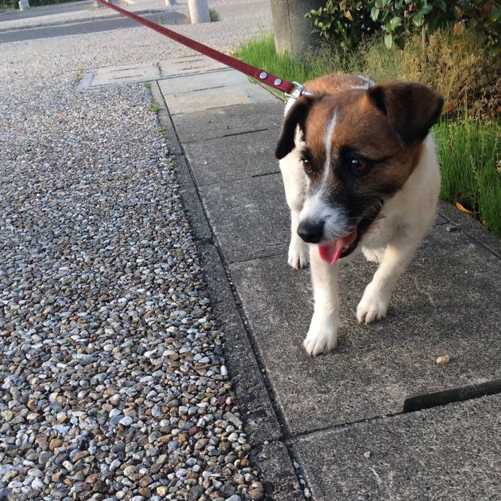 733a7c36 3d86 4354 b7f6 853e2ea31889