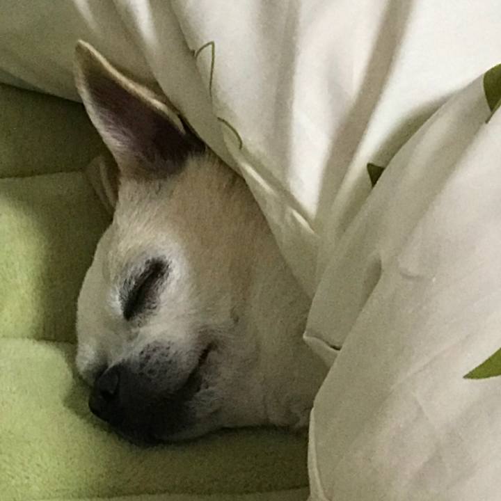 733a91cf 1aff 4d0a bcee f9c5dc62aac5