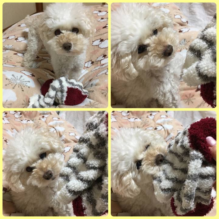 733b43be ec2d 4af4 a3a6 204a45f08460