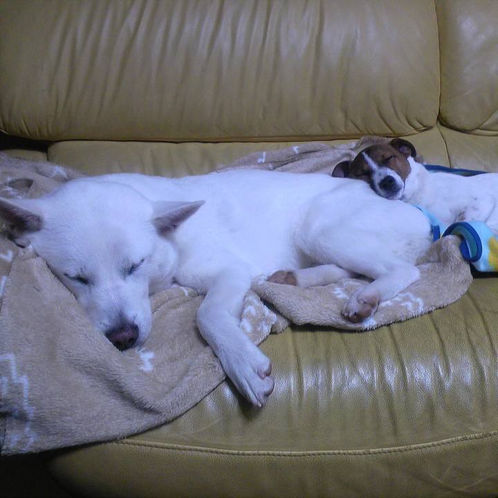 733b7e00 f415 4725 a659 68d20079476c