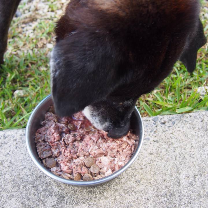 733b88ac 5de3 46a3 b085 c94366ecf7e0