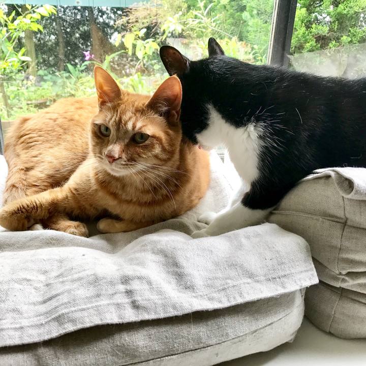 733baafc f111 4699 8975 8de784a96acd