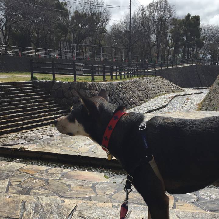 733bdc65 a976 42f2 bef2 6a0d031784cf