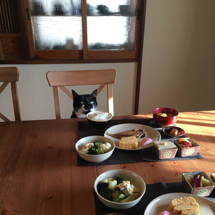 733c3787 064f 43c9 8ba2 2e6ffcf76805