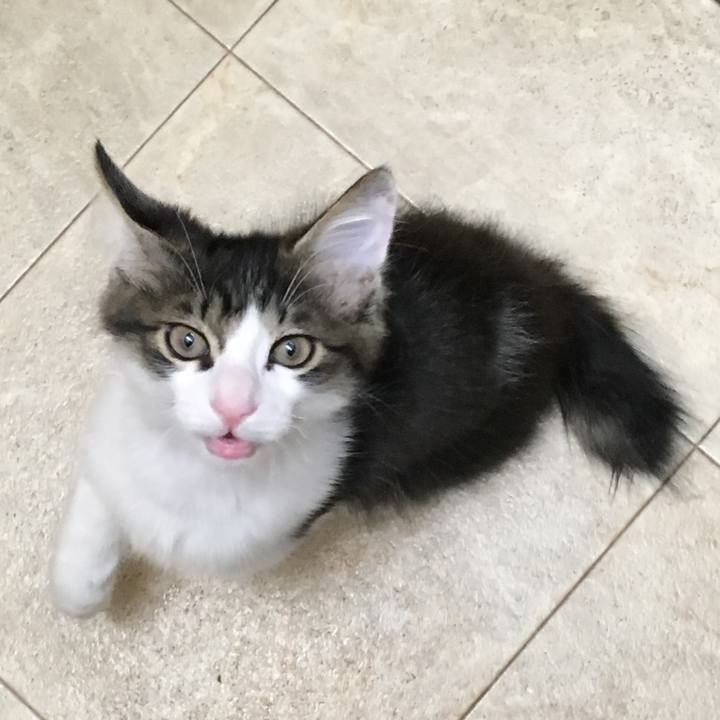 733c7137 d259 4188 868d f9507d7f306e