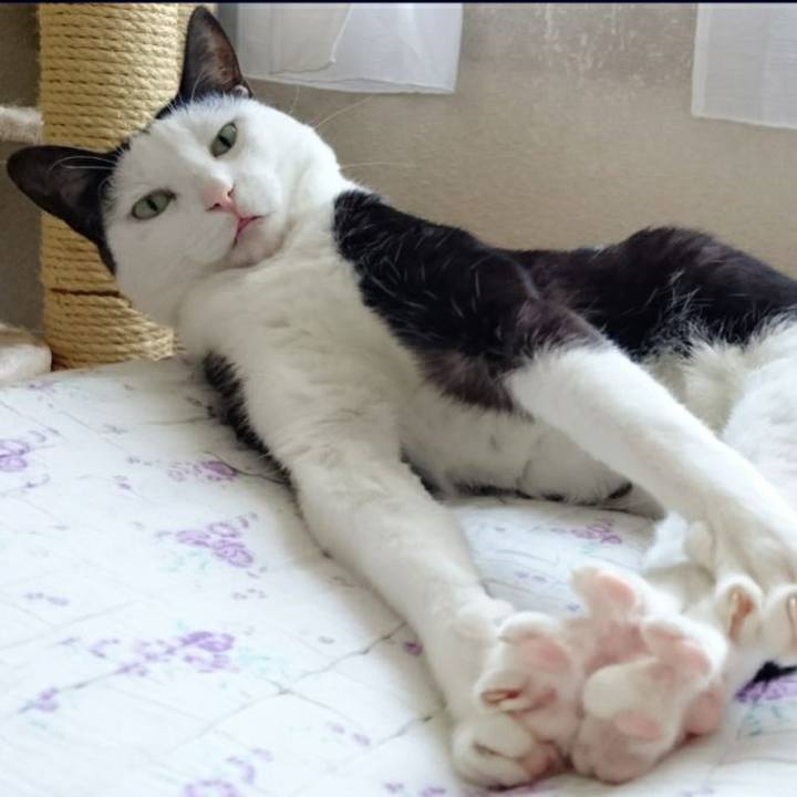 733ca25a 7a0c 48fc 893a 441b789b46b8