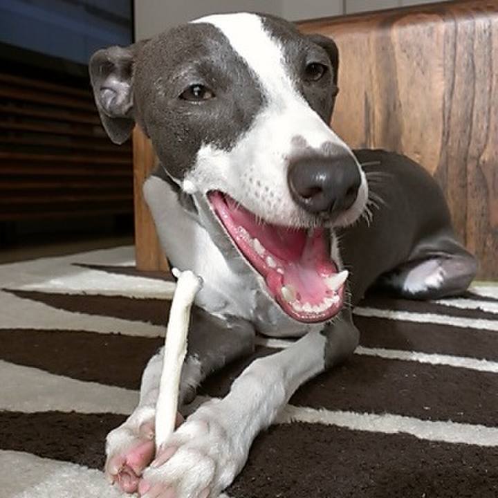 733da2e3 be30 4de8 9f92 918bf04352d0