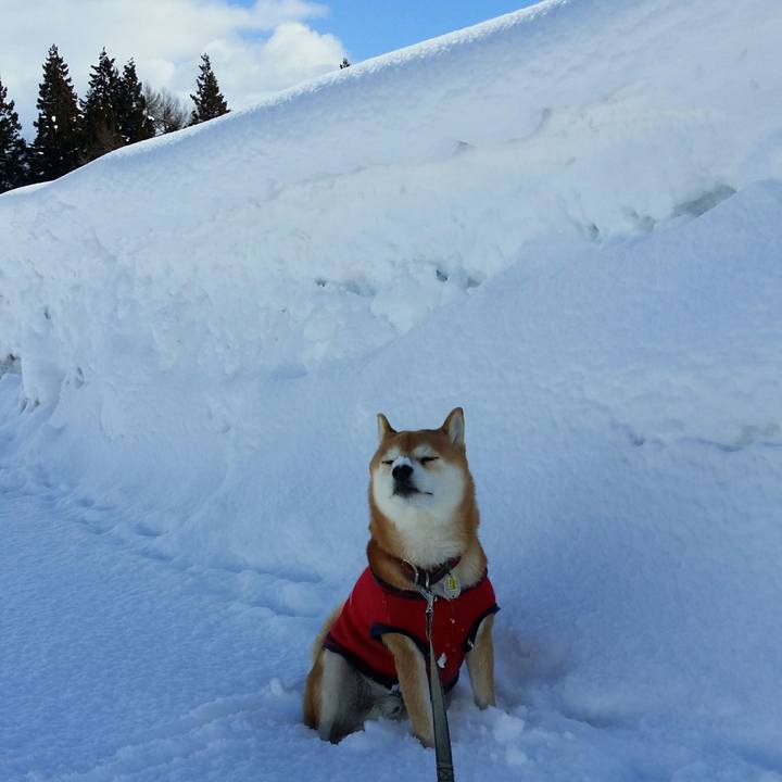 733e965f 798a 4075 bd22 616d201a8750