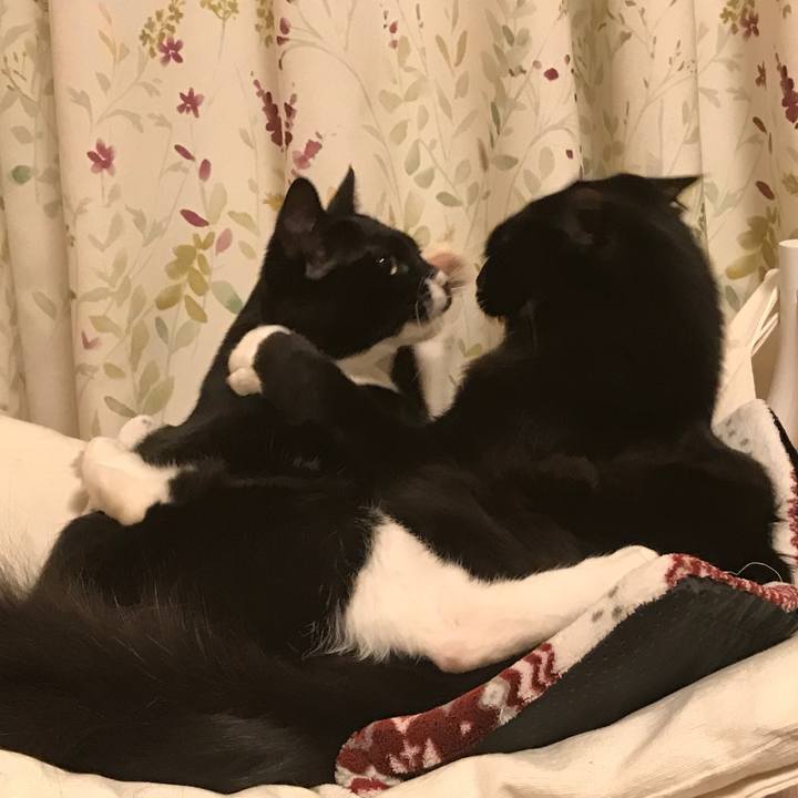 733ea44a 6672 407b bd58 0be4909e3b39