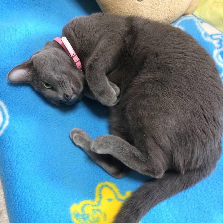 733eec71 3c02 4d4b 925b 94f967b59728