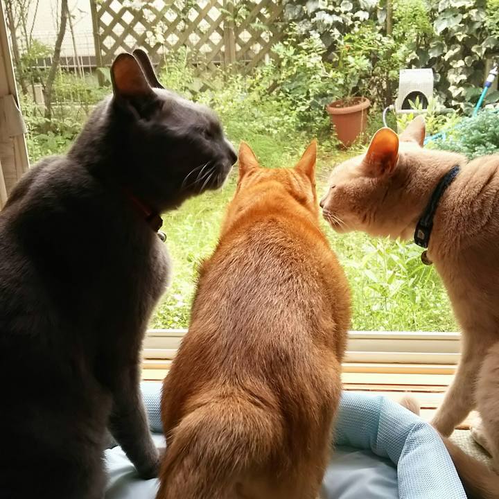 733ef01b 943b 4833 9f51 adb14657f115