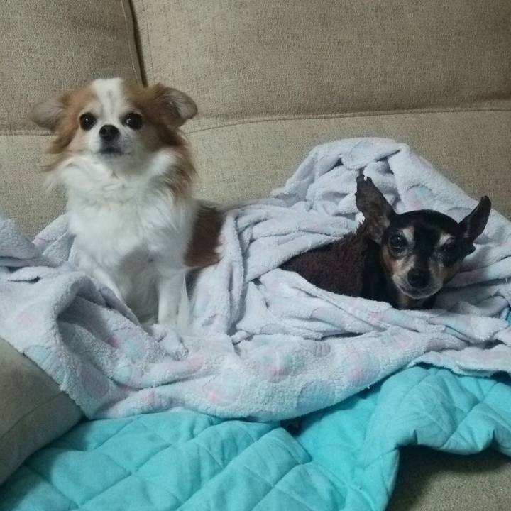 733f8dc5 144d 4caf ac6f e9c39ec7ddd5