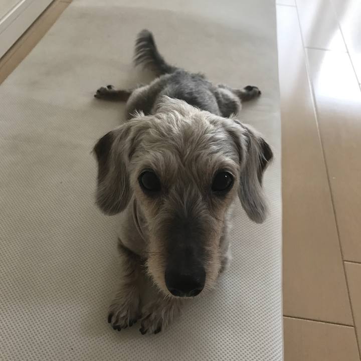 7340093e f69f 4e9c 89a4 00a58e6c8484