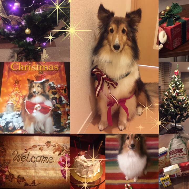 73404212 34fb 4239 8b2f 0de7d84c3571