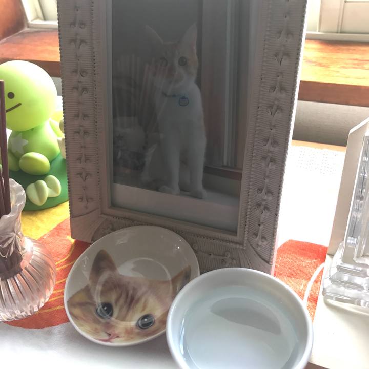 734061de 0152 40fd bb33 dbe9cbe78c81