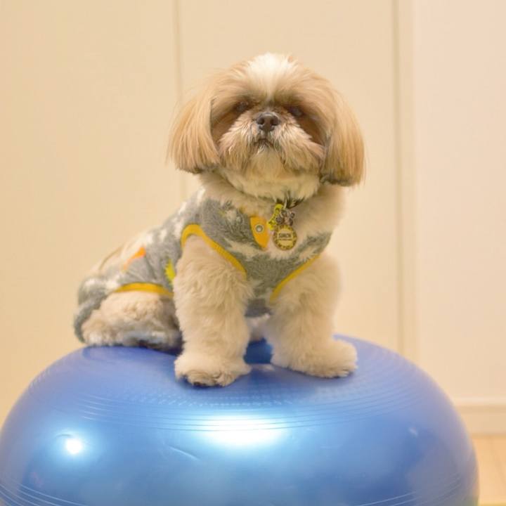 7340d2a7 cf31 465f 92f0 d2cdf93f2e95