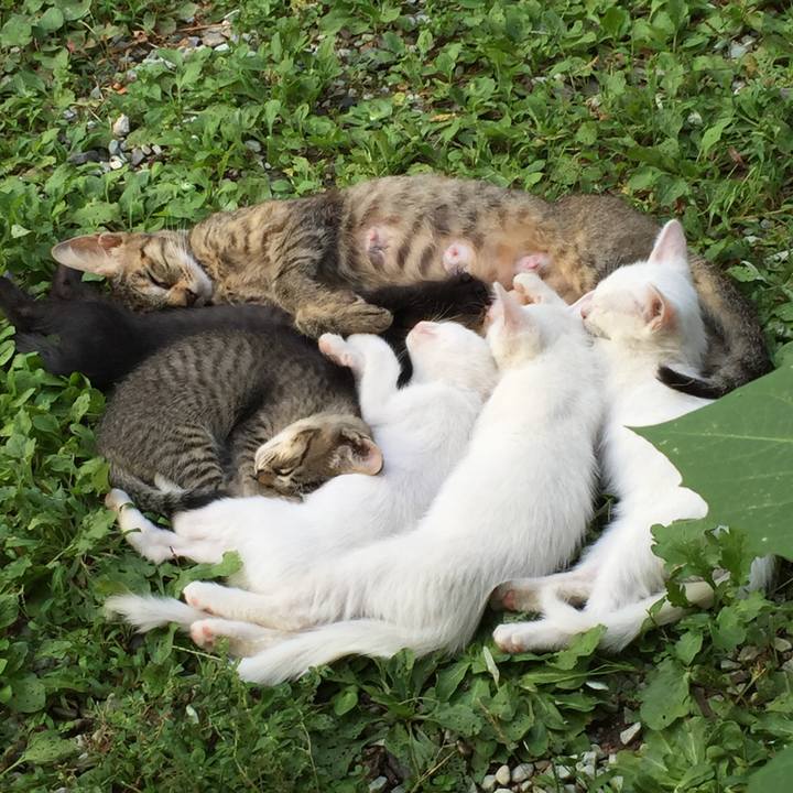 73411bdf 607b 4535 a539 6f7ab95cd0e9