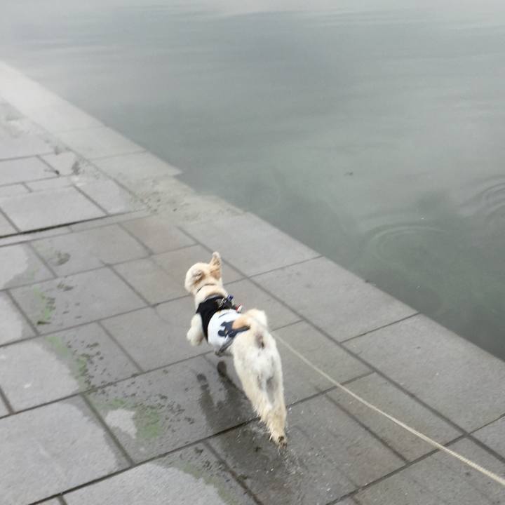 73417f34 fcce 4f31 805c c8fea40ae91b