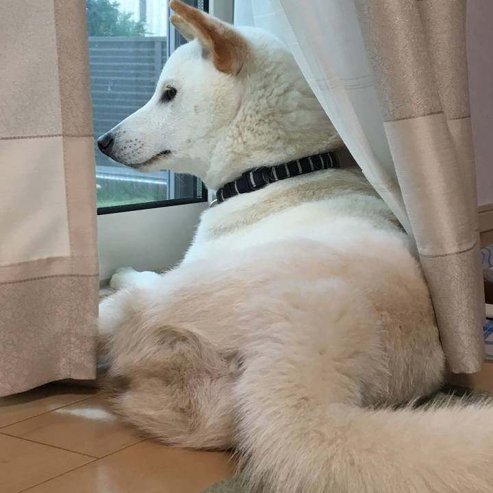 73418fc0 aeb6 421b 80b8 14653f349a36