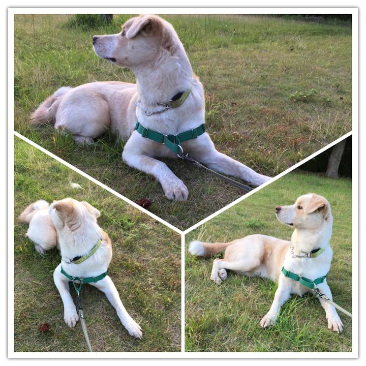 7342483a 0708 40f7 9969 8ccfb1006338