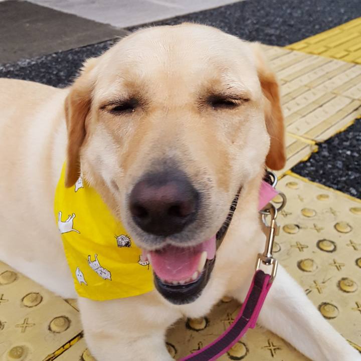 73425932 c7dd 41db 8f5a a27b6f6eef28