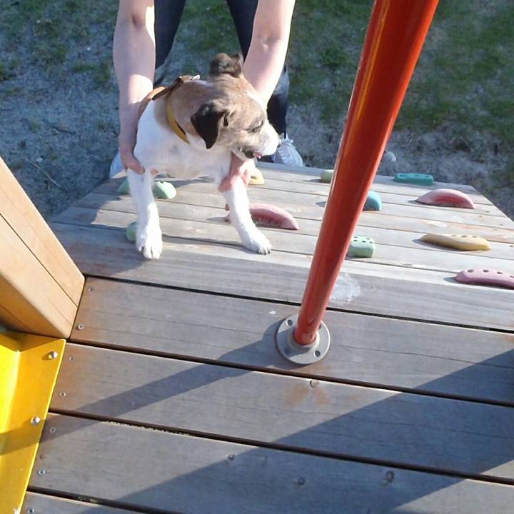 73429f91 44ec 451c bd86 840e85cd5561