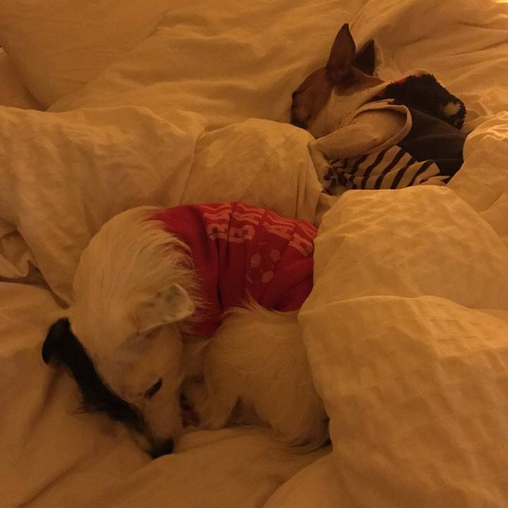 7343237b efcd 45ae 9960 0ef5c440e811