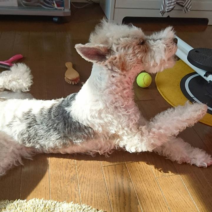 734468db b393 49e5 9caa ffe7bd8eec97