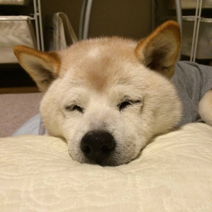 73449dd6 5ccb 4c8e 8def 20fbf1903349