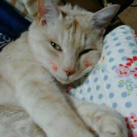 7344a1ef 0e76 4072 a641 9e26230e33d5