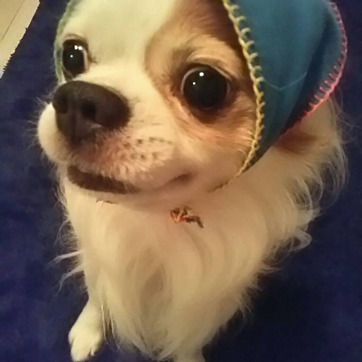 734509df 95d8 4339 9a33 e9cf7a0e9998