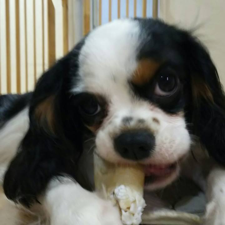 73454ef2 b8bd 4ee0 8e33 6c285cacbec9