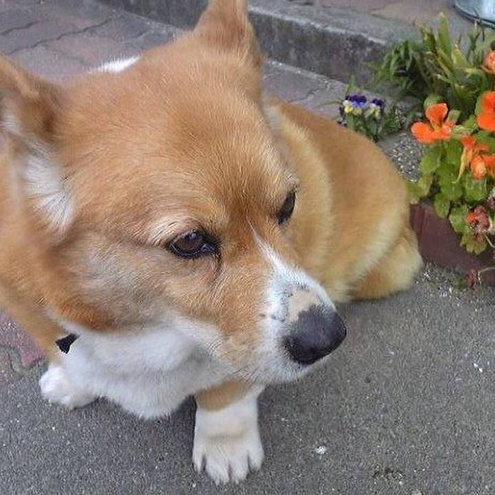 7345bba9 5b92 4227 a7d0 57fd2d85bcc4