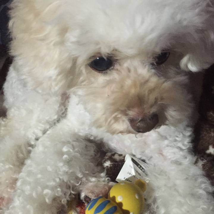 73468c44 fbad 42ae b352 fda4823d53b8