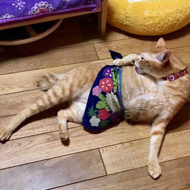 734695b2 0be8 40ef a7e4 d242930efd8e