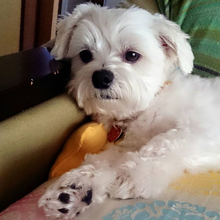 7346a30e 67a6 41a6 a808 d7cf2dfa6c55