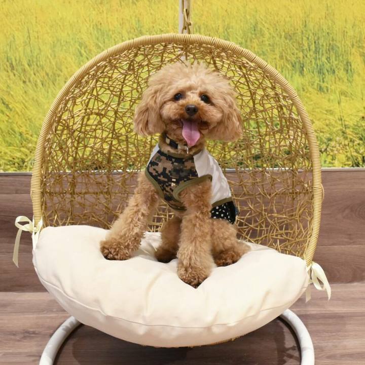 7346b77a e7d4 494d a018 2f365dba73b9