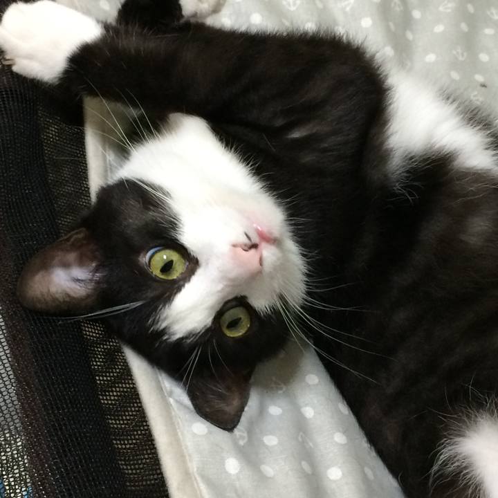 73470f21 db32 4a83 b5a3 146a03ba8dd8