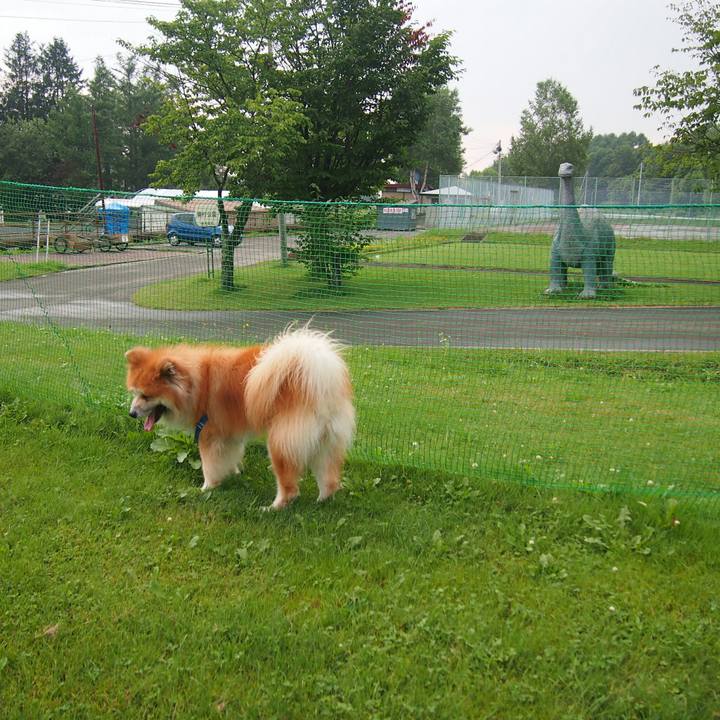 7347c82b f864 4410 9da2 a172bcb2bca0