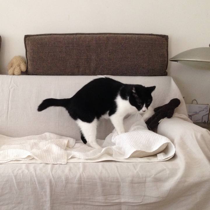 73489164 c997 47a2 8a08 a1eda7b99f94