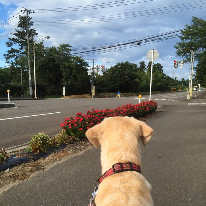 73489ea3 9d87 4a8e a969 96578ebf6f46