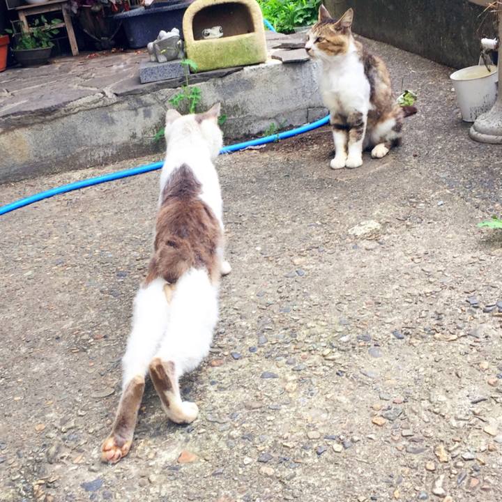 7348f4b4 56f2 4b41 9ec9 757d878b6c68