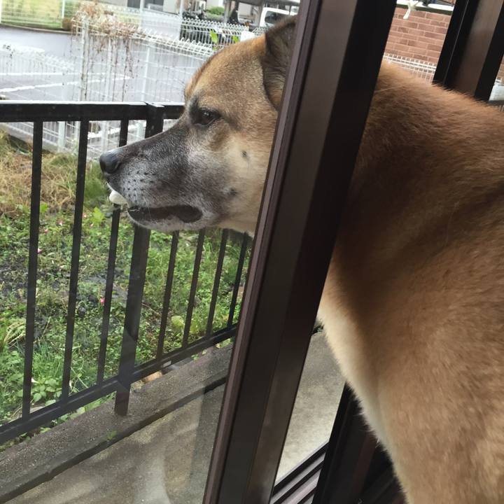 73492894 58b0 4abe 9376 c8fc7277974b