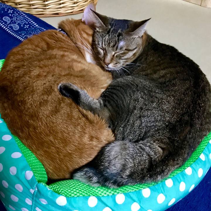 73497447 6aba 4fba 9d5f e1cd60149ca7