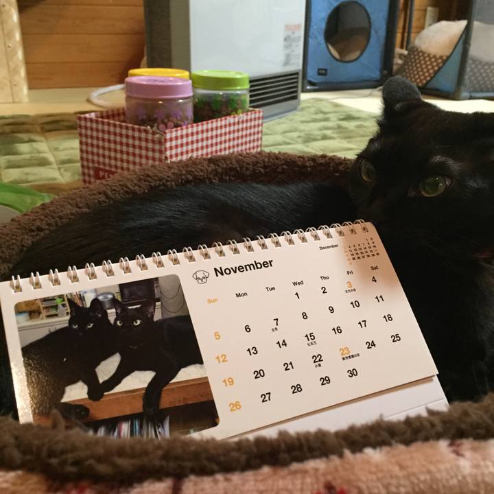 73498d35 e2cf 4bc8 bc82 6bcbaa12b158