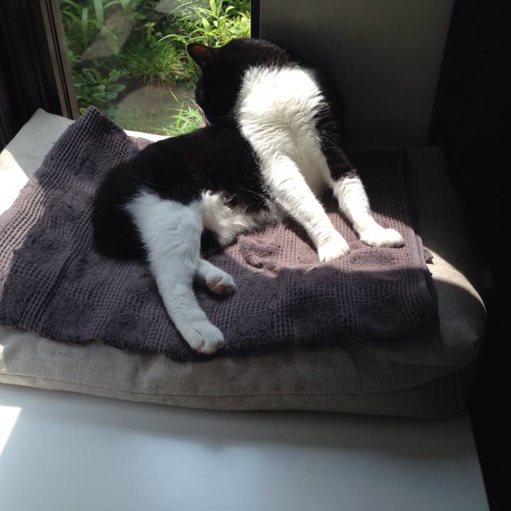 734a03cc 9b0a 4d26 85a5 bb1abfbc1427